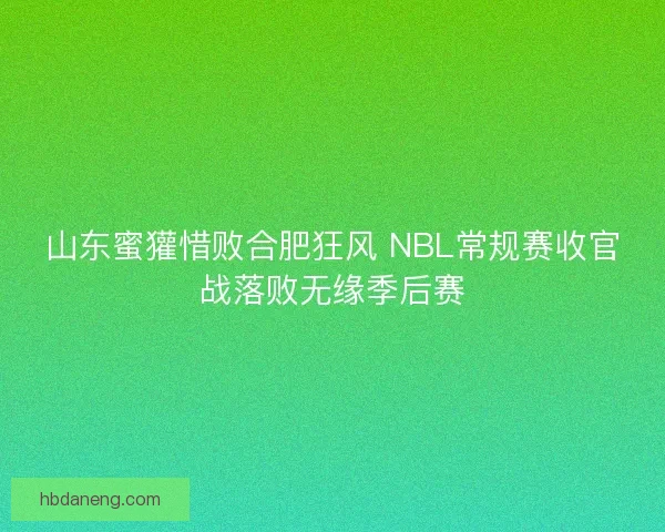 山东蜜獾惜败合肥狂风 NBL常规赛收官战落败无缘季后赛